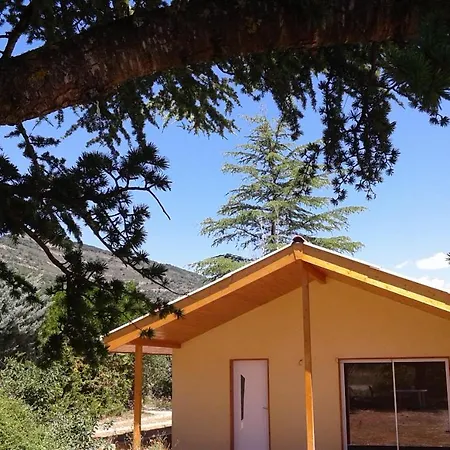 Chalet Nature En Haute-provence, Lavande Et Verdon Hébergement de vacances Mirabeau (Alpes-de-Haute-Provence)