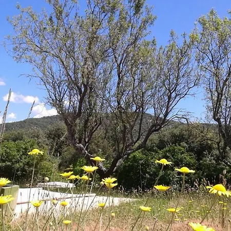 Chalet Nature En Haute-provence, Lavande Et Verdon *